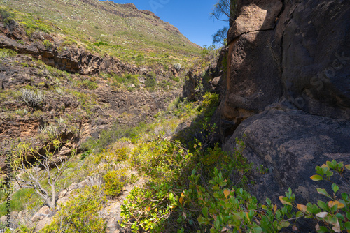Barranco on the Roque del Conde trail