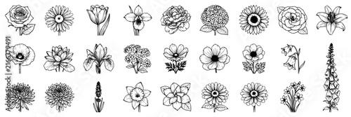 Flower set with detailed botanical illustrations featuring rose, tulip, peony, anemone, and lily with line art and monochrome