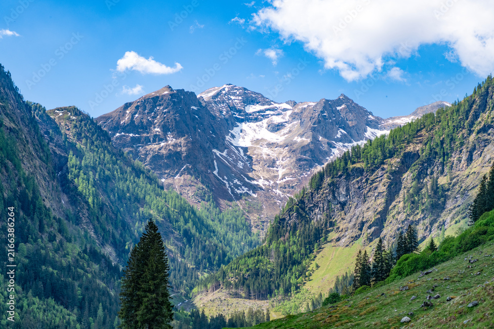 Obraz premium Mountain landscape meets untouched nature and colorful meadow. Scenic panorama reveals dramatic mountain scenery, while peaceful landscape invites hiking and summer tourism