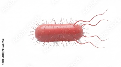 Salmonella bacteria simple portrait 3D illustration white background