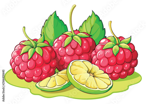Colorful raspberries and lime slices.