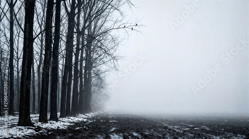Ravens on branch in foggy winter forest