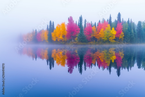Row of vibrant yellow and red autumn trees reflecting sharply in calm misty blue lake.
