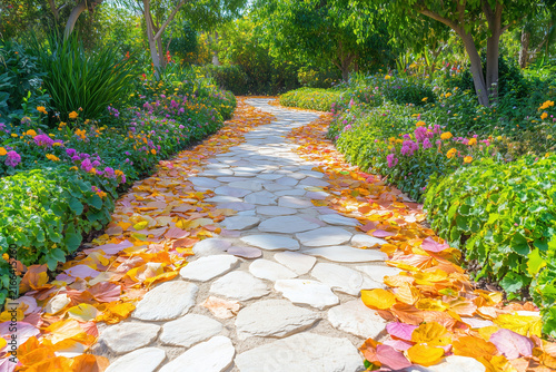Stone paved garden path covered with yellow fallen leaves winding through lush green summer park.