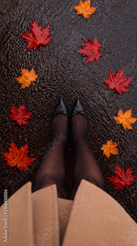 Woman Wearing Black Shoes Standing Among Colorful Autumn Leaves on a Dark Road, Fall Fashion, Seasonal Mood, Cozy Autumn, Overhead View, Vertical bg