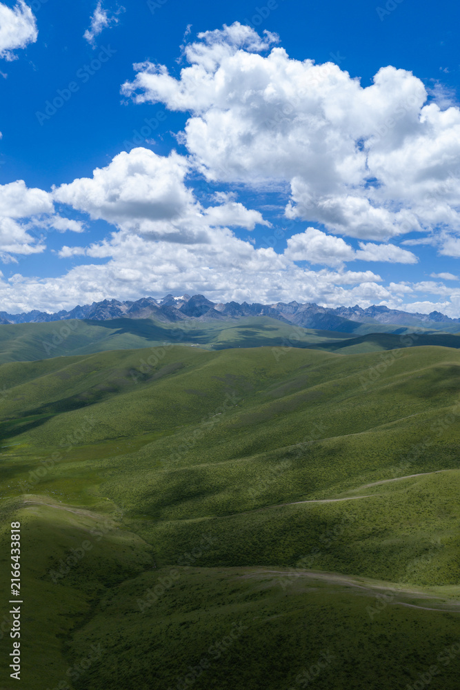 Fototapeta premium Beautiful green grassland and cloudy sky landscape in qinghai province, China