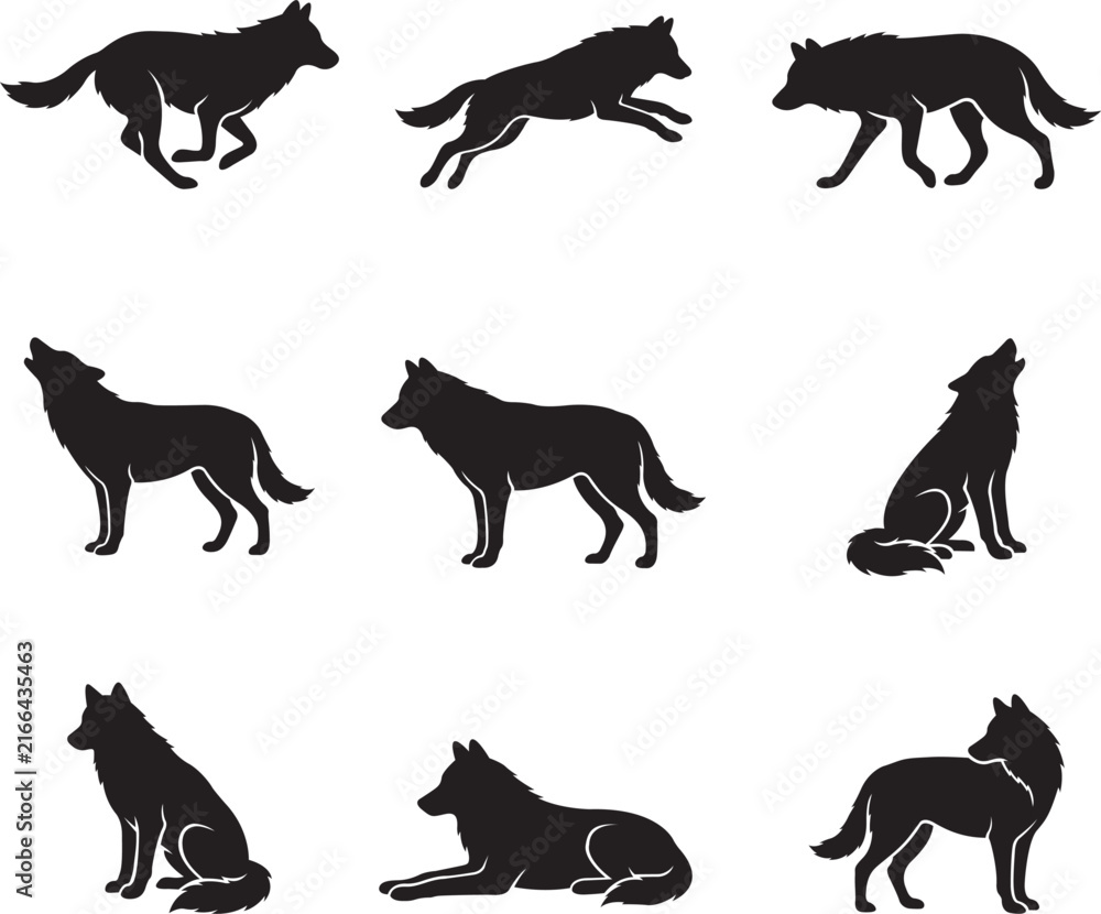 Obraz premium Dynamic Black Wolf Silhouettes Set: Diverse Poses of Wild Canids on White Background