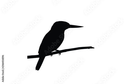Bird perched on branch black silhouette against white background