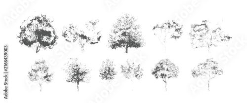 Ten textured grey trees in a row on white background nature foliage leaf