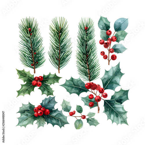 Watercolor Christmas pine branches with holly leaves and red berries