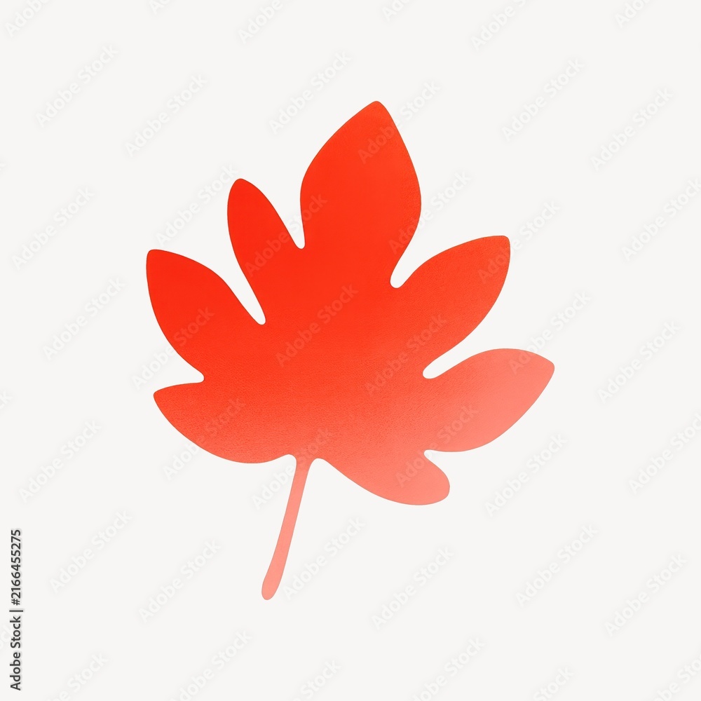 Fototapeta premium Red maple leaf silhouette design.