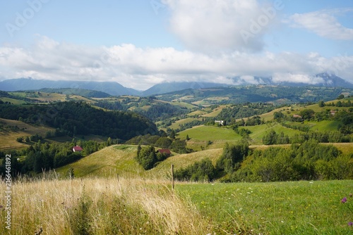 Canvastavla Scenic Landscape with Rolling Hills and Meadows near Brasov, Romania