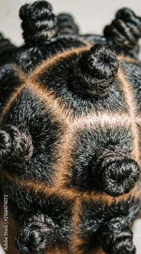 Top view closeup of traditional African Bantu knots protective hairstyle with clean scalp parts