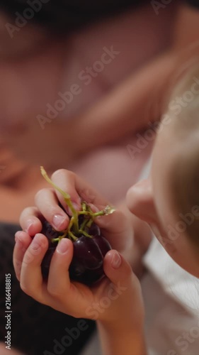 Close up of young girl holding and smelling dark purple grapes examining fruit with focused attention. Her hands gently cradle cluster while girl brings it close to her face capturing moment