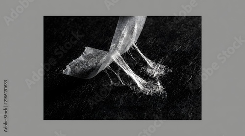 Dramatic black and white image of a bird in mid flight with wings spread wide