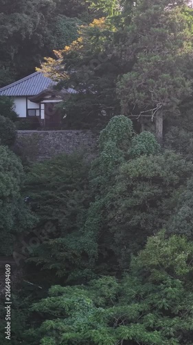 大自然に抱かれた近江八幡・伊崎寺のドローン風景（縦動画） / Drone Scenery of Isakiji Temple in Omihachiman Embraced by Great Nature Vertical