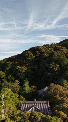 オーセンティックな日本の絶景・深い森と寺院の空撮 / Authentic Japanese Spectacular View Drone Aerial of Deep Forest and Temple