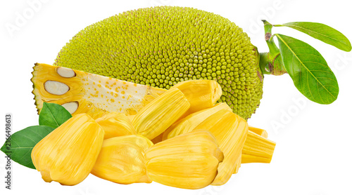 Canvas Print jackfruit, whole jackfruit, jackfruit fruit, jackfruit PNG, fresh jackfruit, rip