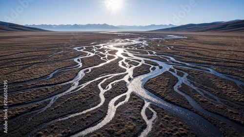 Aerial view of a stunning braided river system winding through a vast, arid plain.