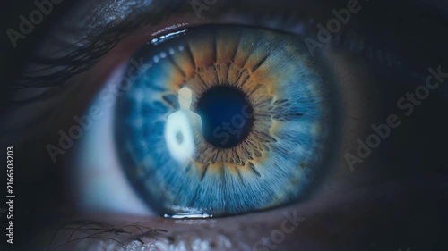 Close up of a human blue eye showing detailed colorful iris and pupil with natural light reflections