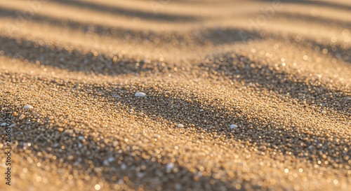 Macro view of golden beach sand grains shimmering in warm sunset light creates beautiful natural texture for summer vacation theme.