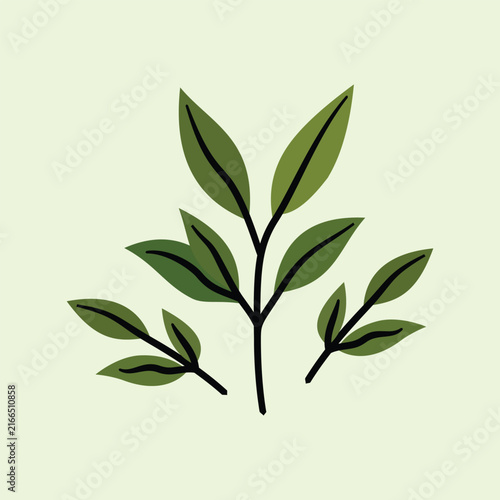 A fresh green tea plant branch with leaves vector illustration. Ideal for botanical, herbal tea, organic product, health, environment, and nature graphic design projects.