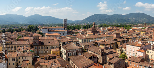 panoramic view of central lucca tuscany italy and the cathedral of san martino