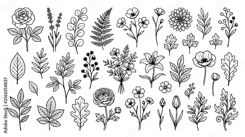 Fototapeta premium Botanical Line Art Elements: Hand Drawn Flowers, Leaves, and Sprigs