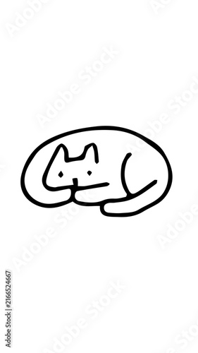gato