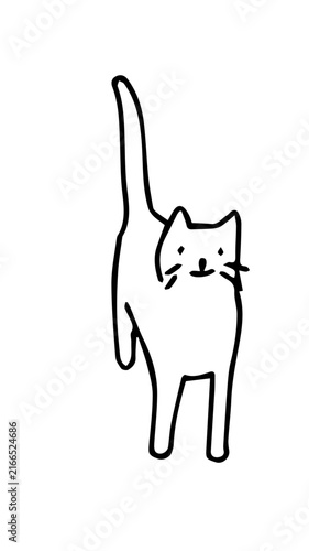 gatito