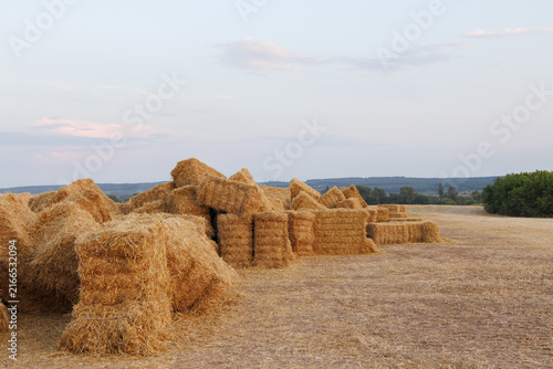 Large rectangular straw bales stacked in a harvested field, creating a rustic agricultural landscape under a pastel sky.