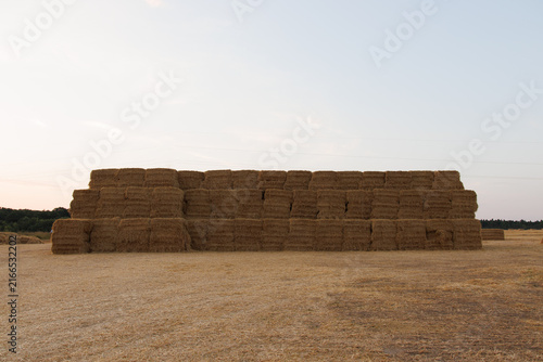 Stacked straw bales in a harvested field with a wide pastel sky and distant rural landscape.