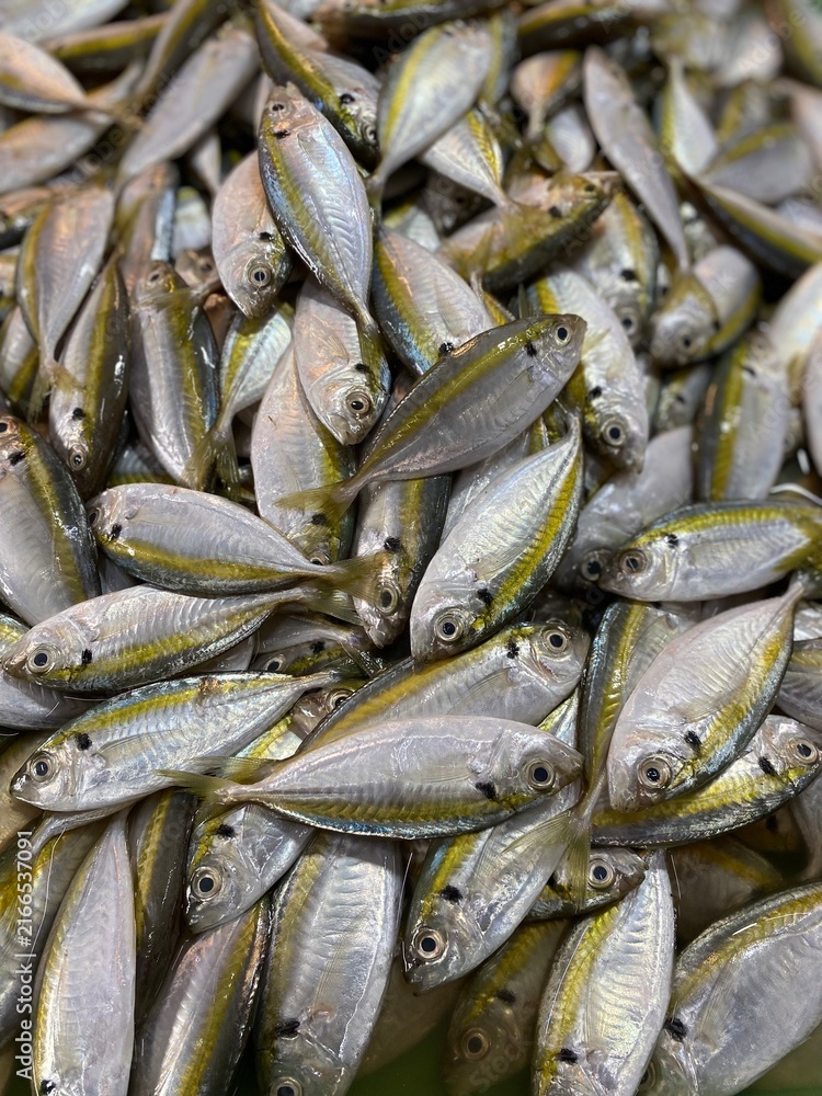 Obraz premium fresh fish at the market