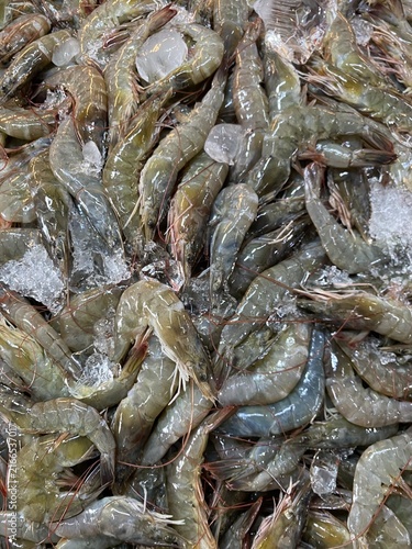 fresh shrimp and fish available in the market.
