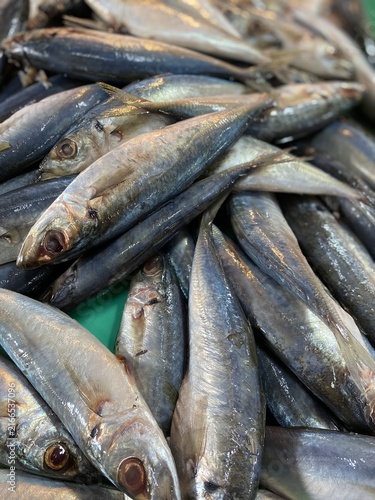fresh fish on the market, sarden fish