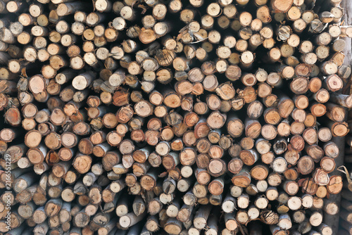 Stacked Firewood Logs Background Natural Timber Texture
