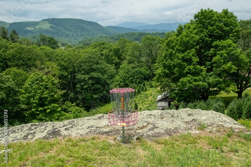Disc golf basket