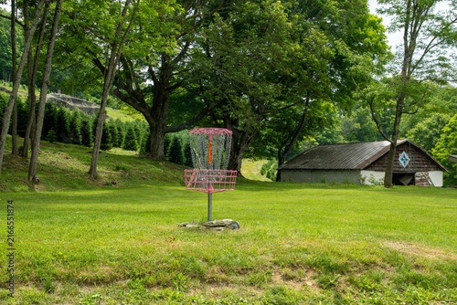 Disc golf basket