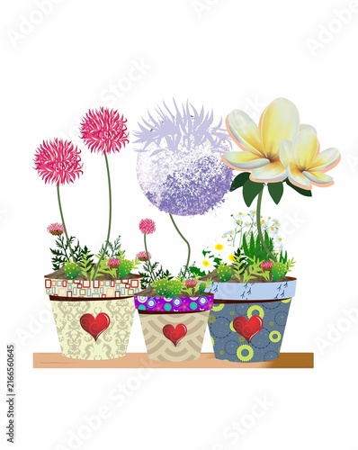 Naklejka composition with pots of blooming cacti