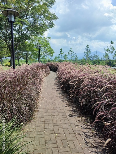 Scenic brick pathway lined with ornamental fountain grass in a lush park, leading toward trees, mountains, and dramatic clouds under a blue sky.