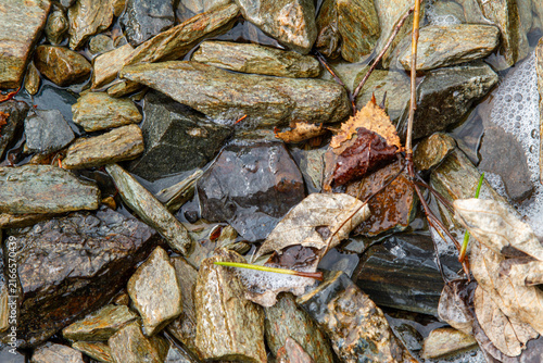Close-up of wet river stones and fallen autumn leaves in shallow water, background, texture