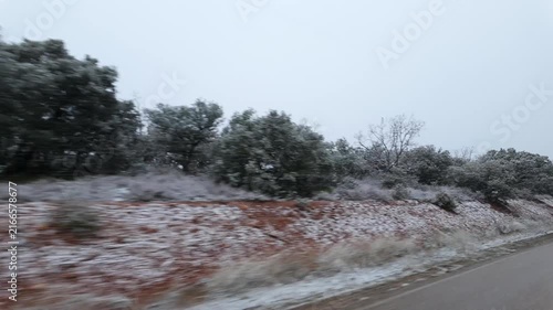 Snow covered woodland beside a rural road seen from a moving vehicle during overcast winter weather
