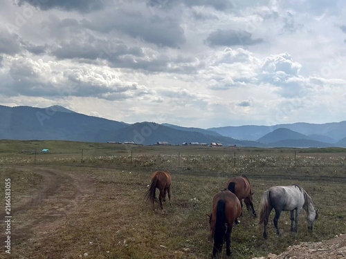 Canvastavla Horseback riders traverse Hemu Village’s expansive rolling hills, embracing Xinjiang’s vast alpine grasslands in the Kanas Scenic Area