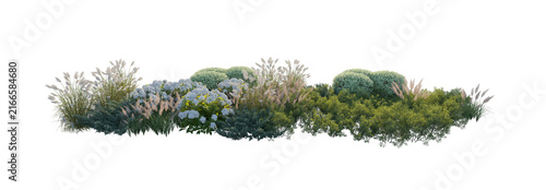 Garden landscape composition with blooming hydrangea bushes, ornamental pampas grass, and shrubs (hydrangea, pampas grass, shrubs) isolated PNG on a transparent background cutout
