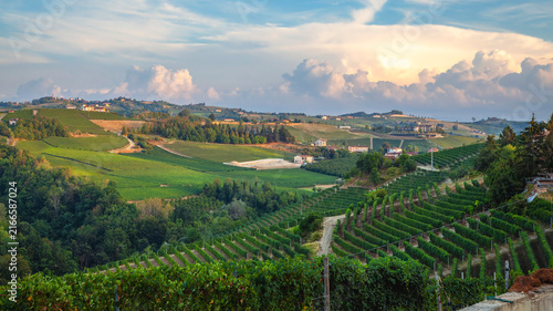 Summer panorama, taken at sunset, of the hills covered by vineyards around the village of Serralunga d'Alba (Piedmont Region, Italy). Is the world famous winery area of Langhe, Unesco site since 2014.