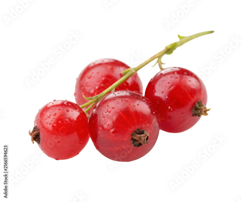 Fresh Ripe Red Currant Berries with Water Drops Isolated on White Background