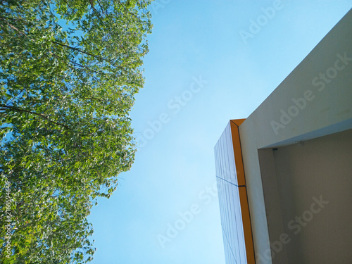 Green tree foliage reaching a modern building facade under a clear blue sky, balancing nature and architecture