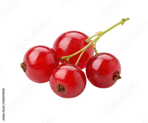 Four Organic Ripe Red Currants Attached to Green Stem Isolated on White Background
