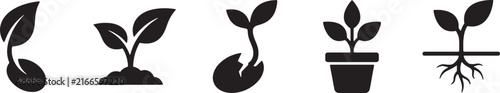 Plant Growth Stages Icon Set Black Solid Vector for Gardening Design
