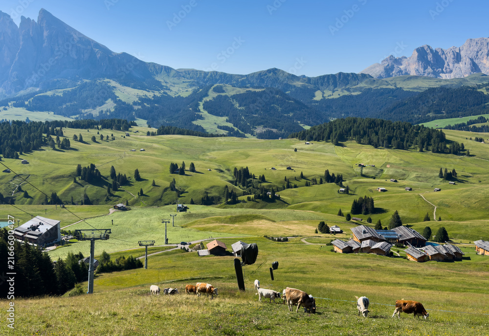 Fototapeta premium View of beautiful landscape in the Alps with fresh green meadows in the background on a sunny day with blue sky and clouds in summertime. Alpe de Siusi, Dolomite Alps